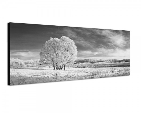 150x50cm Winterlandschaft Wiese Baum Schnee Wolken