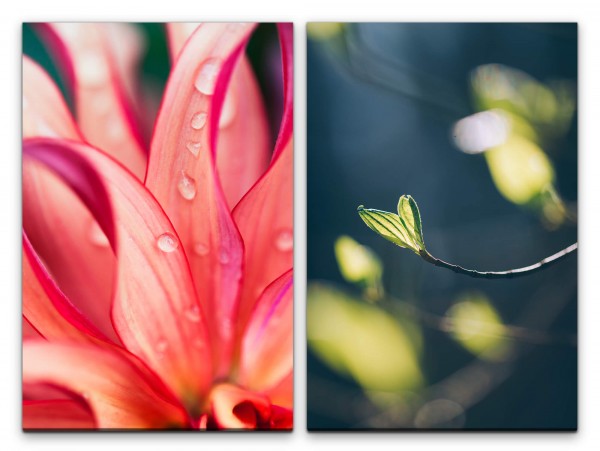 2 Bilder je 60x90cm Blüte Wassertropfen Regentropfen Frühling Zweig Dekorativ Makrofotografie