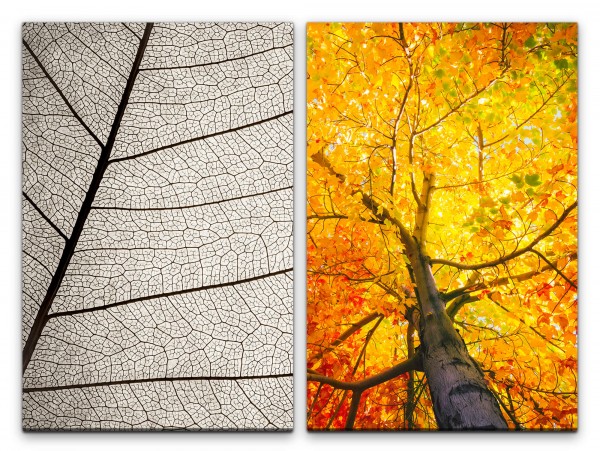 2 Bilder je 60x90cm Blätter Baum Baumkrone Herbst warmes Licht Harmonie Beruhigend