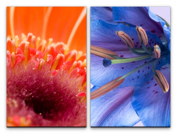 2 Bilder je 60x90cm Blüten Blumen Rot Blau Sommer Duftend Makrofotografie