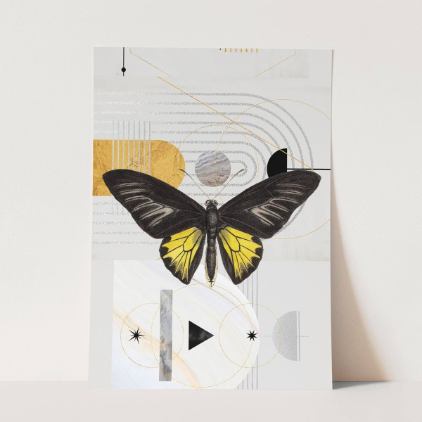 Wandbild exklusives Design Schmetterling Gold Schwarz Einzigartig