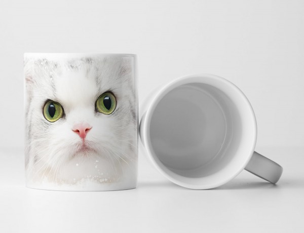 Tasse Geschenk Tierfotografie – Süße weiße Katze mit grünen Augen 