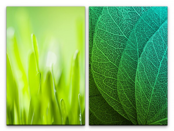 2 Bilder je 60x90cm Gras Grashalme Blätter Pflanzen Frühling Grün Makrofotografie
