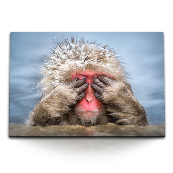 120x80cm Wandbild auf Leinwand Kleiner Affe im Wasser Japan Schnee Tierfotografie