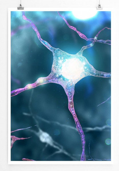 Neuronales Netzwerk Nerven 60x90cm Poster