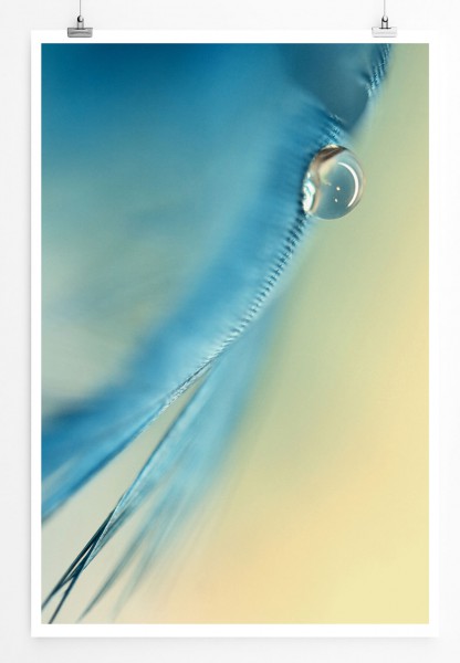 60x90cm Poster Naturfotografie  Blaue Blütenblätter mit Tautropfen