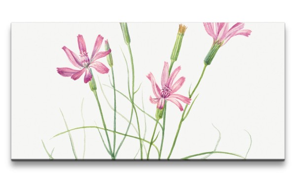Remaster 120x60cm Botanische Vintage Illustration wunderschöne Blume Minimal Dekorativ