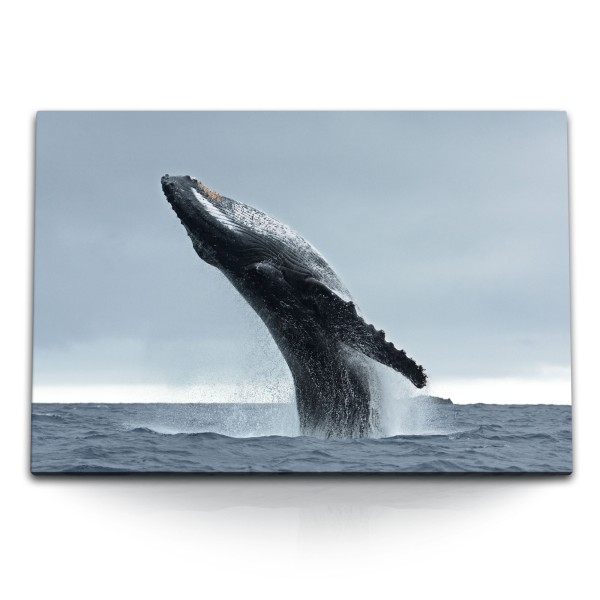 120x80cm Wandbild auf Leinwand Grauwal Wal Ozean Meeresriese Horizont
