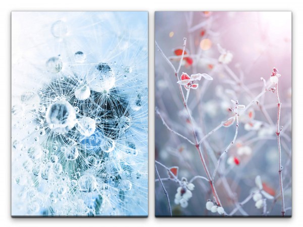 2 Bilder je 60x90cm Pusteblume Wassertropfen Frost Frisch Kühle Dekorativ Dekorativ