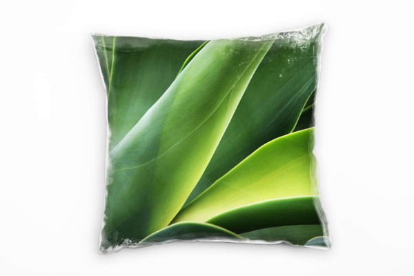Natur, Macro, grün, abstrakter Kaktus Deko Kissen 40x40cm für Couch Sofa Lounge Zierkissen
