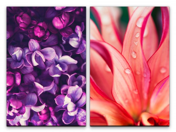 2 Bilder je 60x90cm Orchideen Blüten Regentropfen Farbenfroh Sommer Duftend Sanft