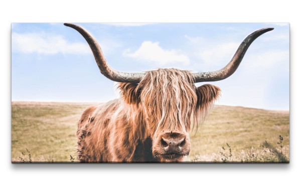 Leinwandbild 120x60cm Schottisches Hochlandrind Kuh Hörner Natur Rind