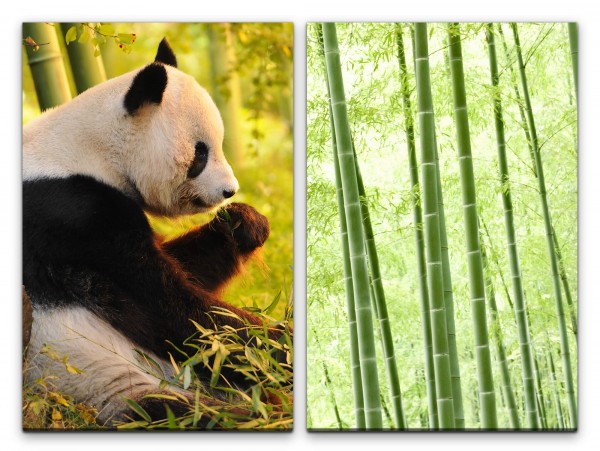 2 Bilder je 60x90cm Panda Pandabär Bambus Asien Bambuswald Grün Friedlich