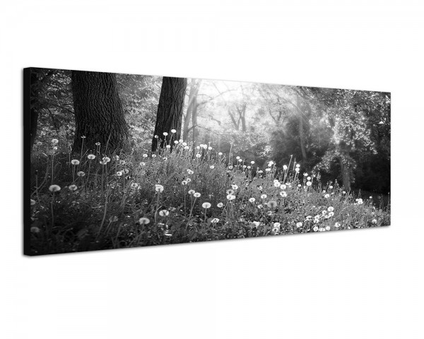 150x50cm Wald Wiese Pusteblumen Frühling Sonnenlicht