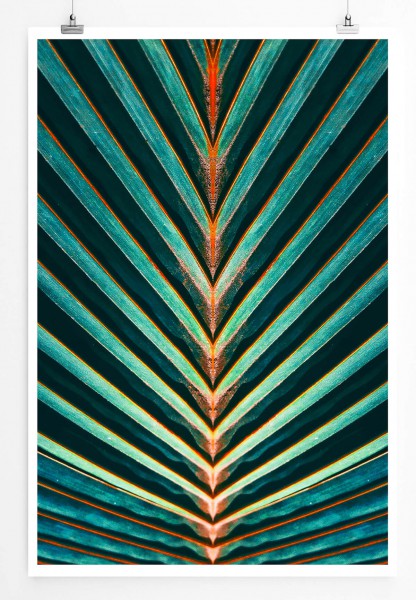 60x90cm Poster Naturfotografie  Linien eines Palmenblattes