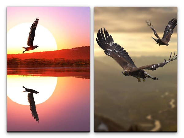 2 Bilder je 60x90cm Adler fliegende Vögel Freiheit See Sonne Majestätisch Erhaben