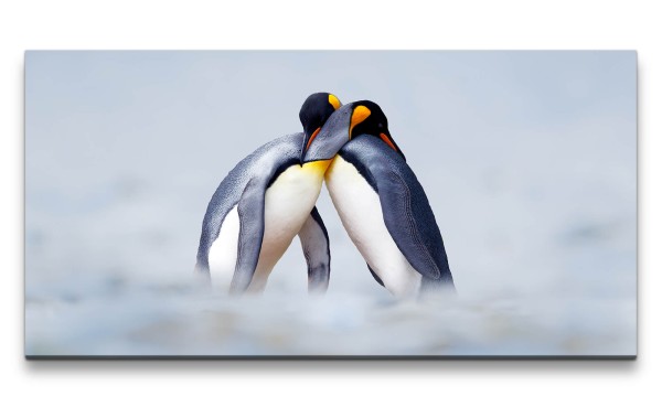 Leinwandbild 120x60cm Kaiserpinguine Pinguine Pärchen Eis schöne Tiere