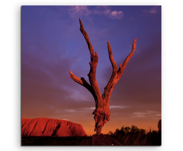 Landschaftsfotografie – Uluru bei Sonnenaufgang, Australien auf Leinwand