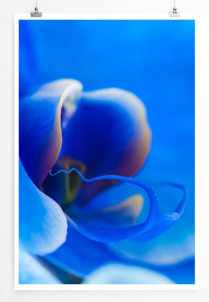 Blaue Orchidee 60x90cm Poster