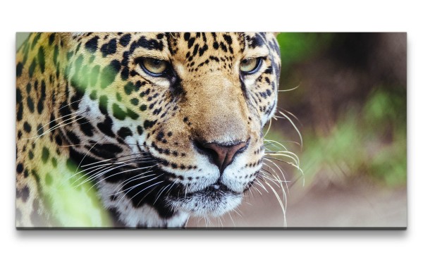 Leinwandbild 120x60cm Jaguar Raubkatze schönes Tier Katze Wild Dschungel