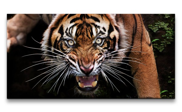 Leinwandbild 120x60cm Wilder Tiger Raubkatze Reißzähne Dschungel Wildnis