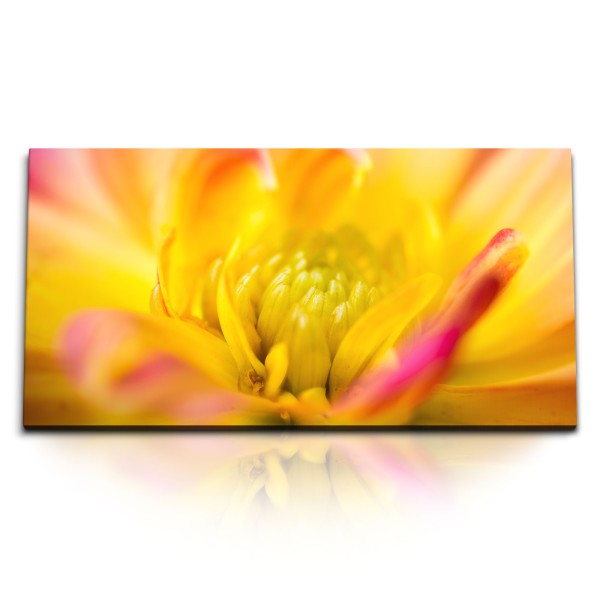 Kunstdruck Bilder 120x60cm Makrofotografie Blume Blüte Gelb Orange