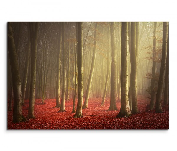 120x80cm Wandbild Wald Bäume Laub Herbst Morgenlicht