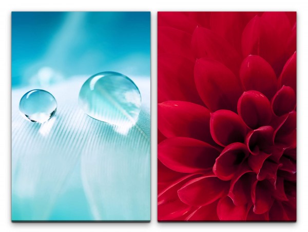 2 Bilder je 60x90cm Dahlie Rot Blüte Feder Wassertropfen Weiß Makrofotografie