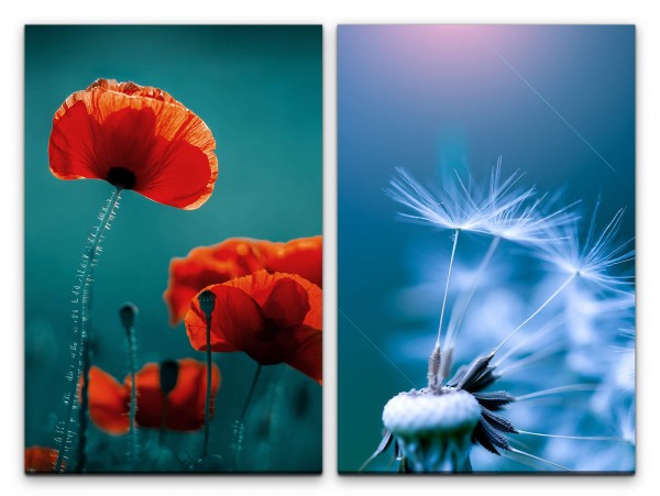 2 Bilder je 60x90cm Mohnblume Pusteblume rote Blüten Zart Dekorativ Fotokunst Makrofotografie