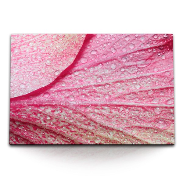 120x80cm Wandbild auf Leinwand Makro Blüte Blume Wassertropfen Rosa Nahaufnahme