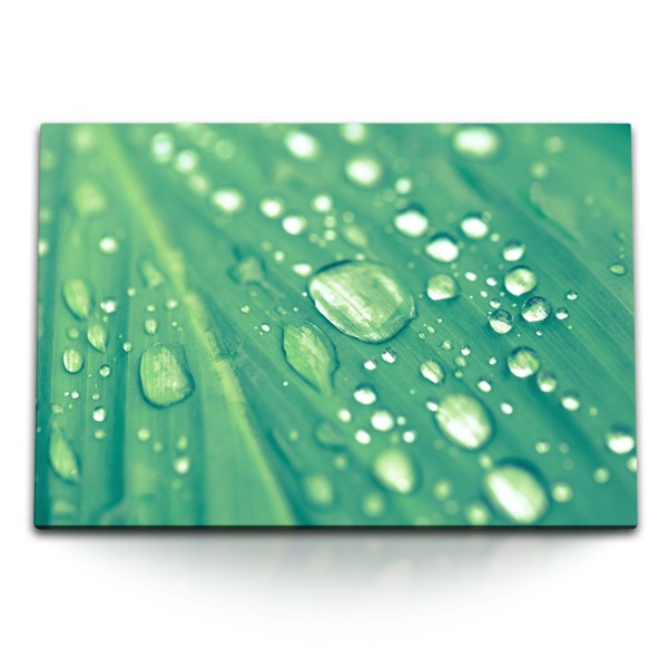 120x80cm Wandbild auf Leinwand Makrofotografie Regentropfen Grün Blatt Pflanze