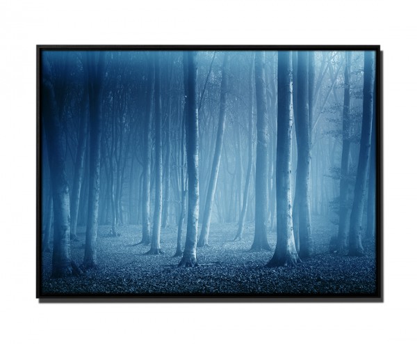 105x75cm Leinwandbild Petrol Wald Bäume Nebel