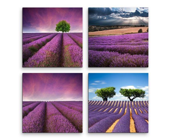 4 teiliges Leinwandbild je 30x30cm - Lavendelfeld Sommer Blumen