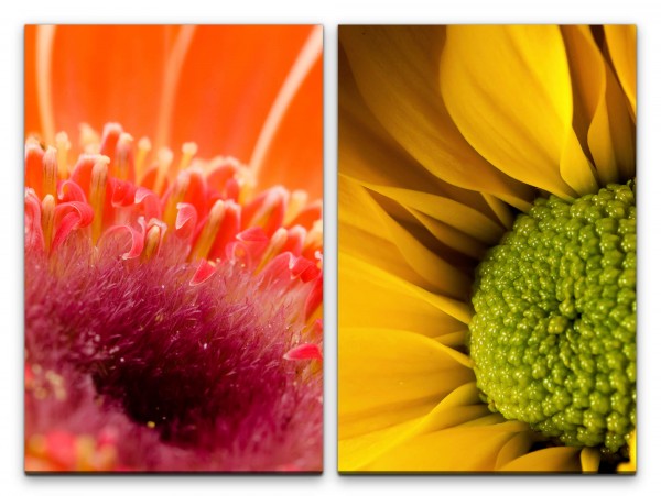 2 Bilder je 60x90cm Sommerblumen Blüten Rot Gelb Dekorativ Sommer Makrofotografie