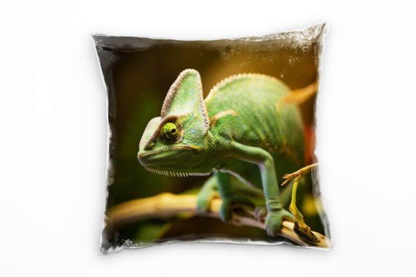 Tiere, Chamäleon, grün, braun Deko Kissen 40x40cm für Couch Sofa Lounge Zierkissen