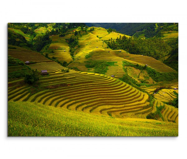 120x80cm Wandbild Vietnam Reisterrassen Hügel