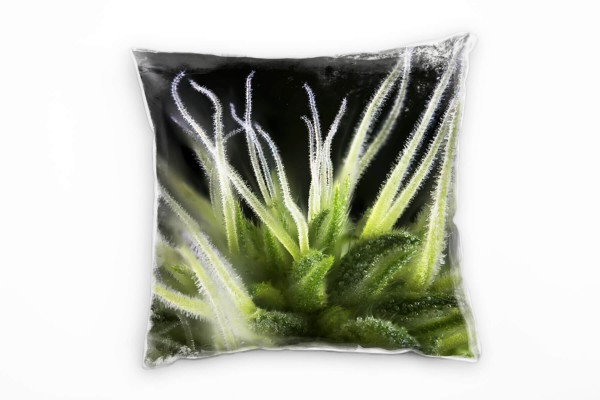 Macro, Natur, Cannabis, Marihuana, grün, schwarz Deko Kissen 40x40cm für Couch Sofa Lounge Zierkisse
