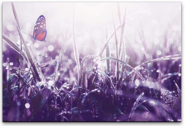 Schmetterling auf einem Halm Wandbild in verschiedenen Größen