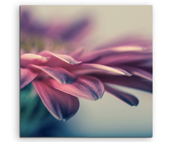 Wandbild Naturfotografie Makroaufnahme einer pinken Blüte auf Leinwand
