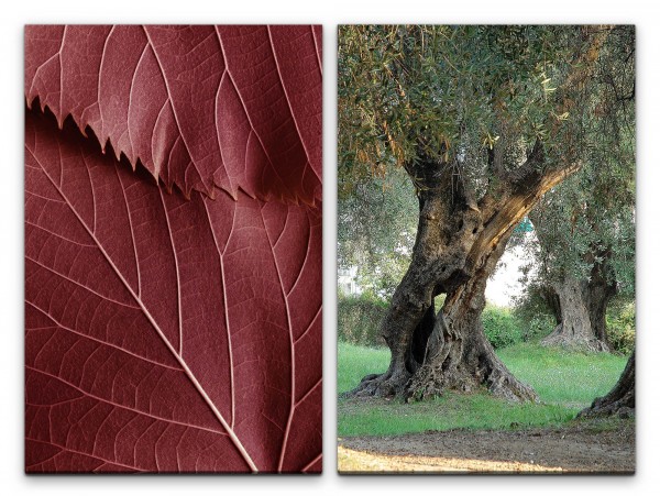 2 Bilder je 60x90cm Natur Olivenbäume Blattadern Nahaufnahme Beruhigend Idyllisch Makrofotografie