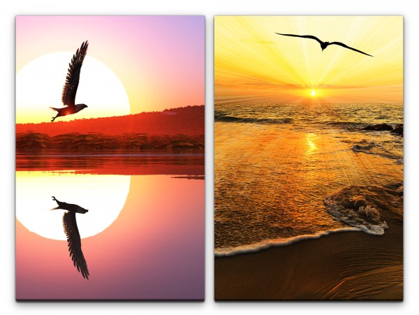 2 Bilder je 60x90cm Adler Fliegen Sonne Meer Strand Abenddämmerung positive Energie