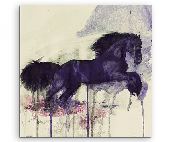 Black Horse 60x60cm Aquarell Art Leinwandbild