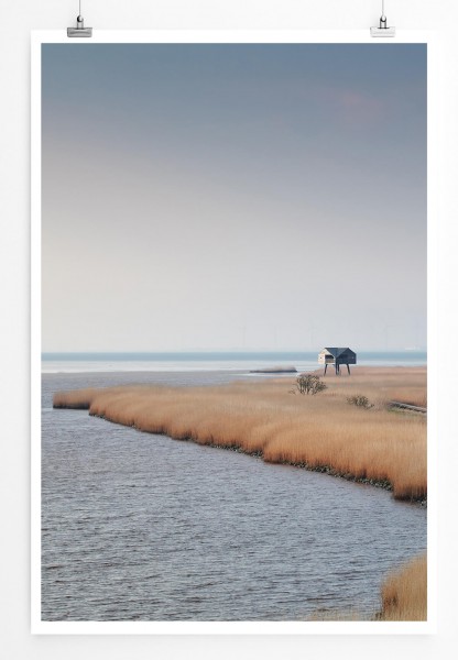 Landschaftsfotografie  Schilf am Meer Nieuwe Statenzijl 60x90cm Poster