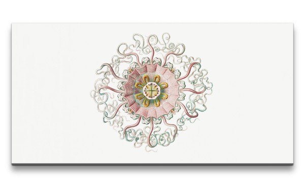 Remaster 120x60cm Mandala Kunstvoll Saugarme Dekorativ Minimalistisch
