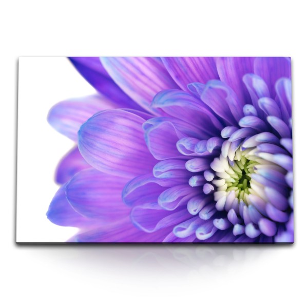 120x80cm Wandbild auf Leinwand Blume Blüte Violett Kunstvoll Makrofotografie