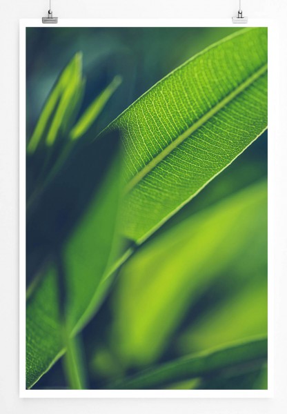 Naturfotografie 60x90cm Poster Grüne Pflanzen Hintergrund