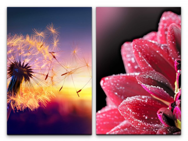 2 Bilder je 60x90cm Pusteblume Sommer Zinnien Blume Blüte Makrofotografie Sonnenuntergang