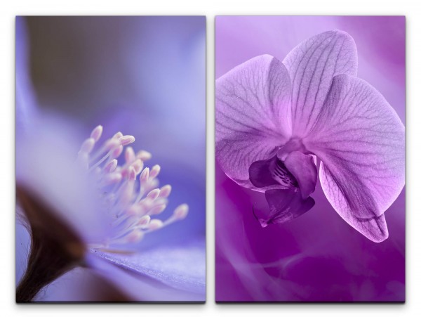 2 Bilder je 60x90cm Orchidee Blüten Dessous Sanft Harmonisch Beruhigend Makrofotografie