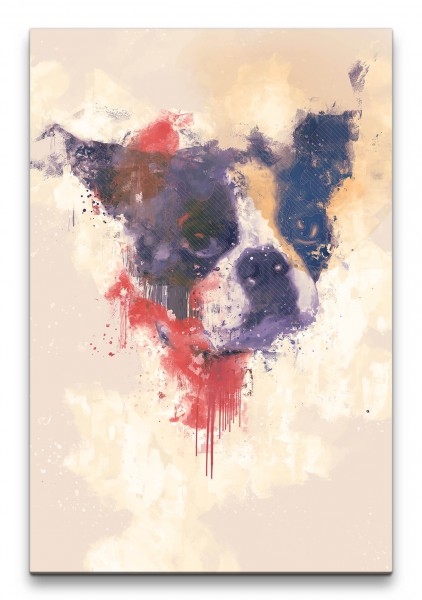 Boston Terrier Abstrakt Kunst Süßer Hund Niedlich 60x90cm Leinwandbild