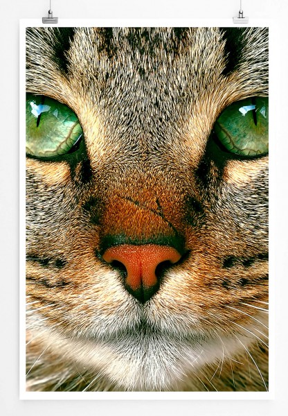 Tierfotografie 60x90cm Poster Katzengesicht mit grünen Augen